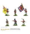 Black Powder - British Line infantry Command (Peninsular)