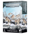 Space Wolves - Meute de loups Fenrissiens