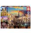 Collage de Notre Dame - 1000 pièces