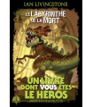 Défis Fantastiques - Tome 5 : Le Labyrinthe de la Mort