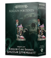 Gloomspite Gitz - Fungoid Cave-Shaman Snazzgar Stinkmullett