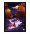 Le Petit Chaperon Rouge - Arcana Puzzle